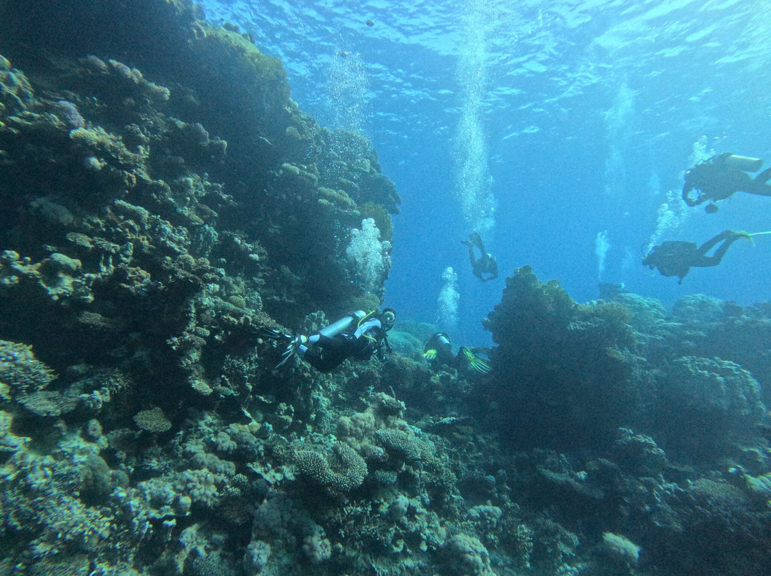 Orca Dive Club Safaga-Safaga必去景点