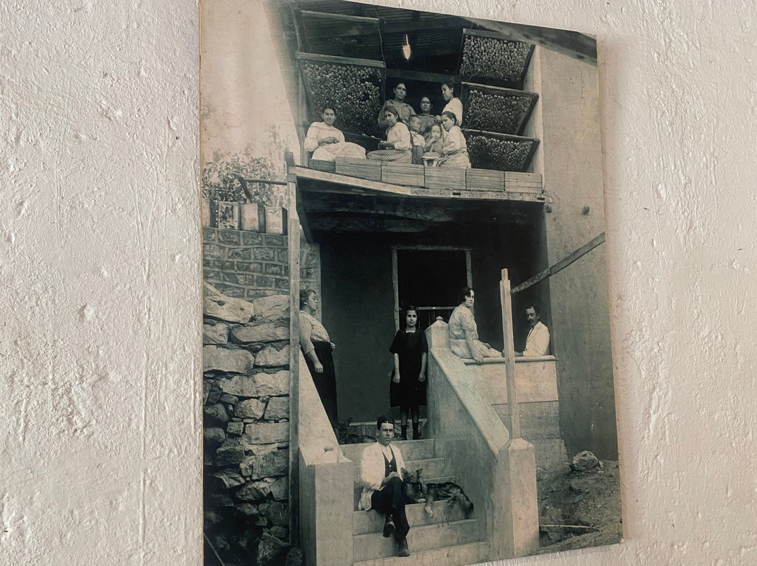 Fundo Los Nichos-Pisco Elqui必去景点