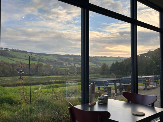 Alder Vineyard-Lewdown必去景点