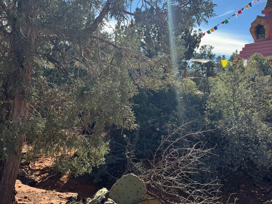 Amitabha Stupa and Peace Park-塞多纳必去景点
