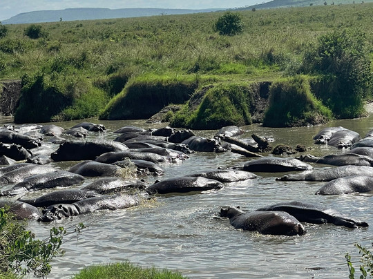 Wild Ways Adventure-阿鲁沙必去景点
