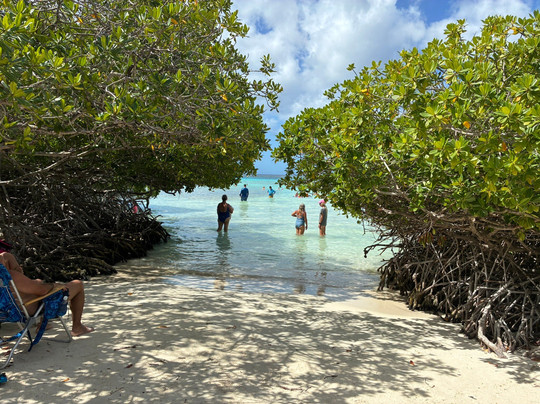 Nautilus Diving & Snorkeling Tours Aruba-萨瓦内塔必去景点