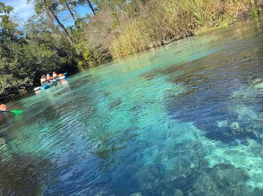 Weeki Wachee Springs-Weeki Wachee必去景点