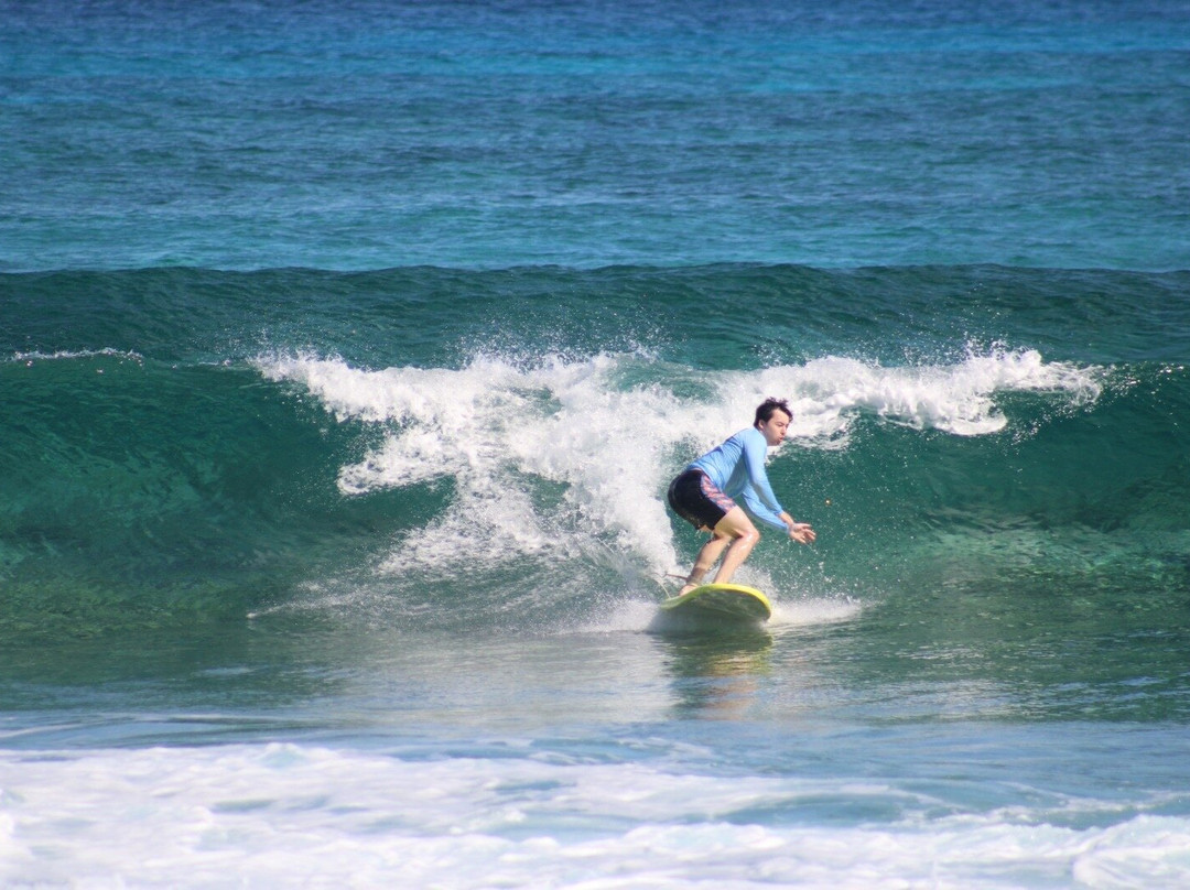 Bahamas Out Island Adventures-Gregory Town必去景点