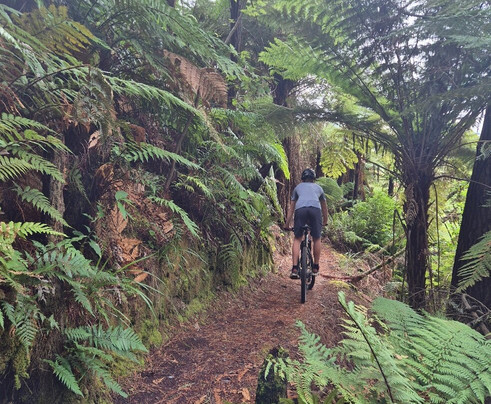 FourB - Bike Tours, Shuttles & Hire-陶波必去景点