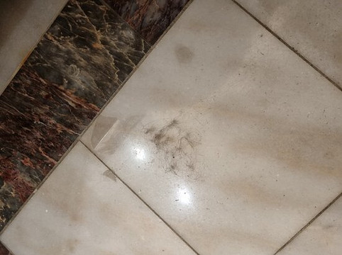 布拉格波斯考罗酒店 - 签名收藏主图