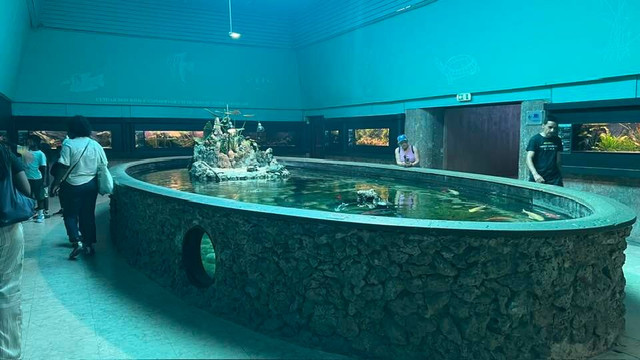 Aquário Vasco da Gama-Alges必去景点