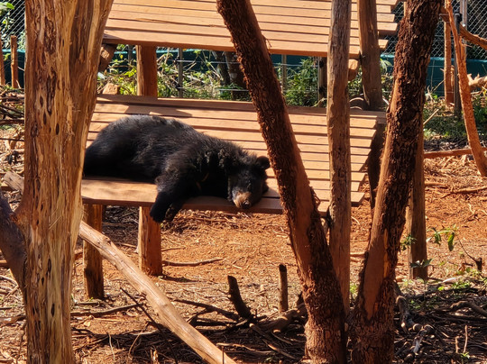 Luang Prabang Wildlife Sanctuary-琅勃拉邦必去景点