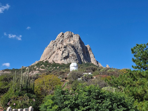 Hostal Medieval主图