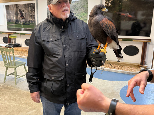 Ireland's School of Falconry-康镇必去景点