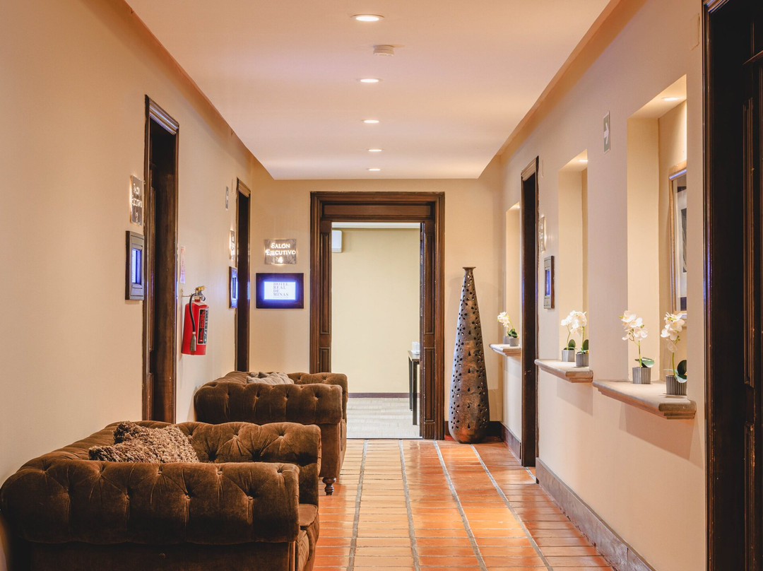 米纳斯皇家圣米格尔阿连德酒店主图