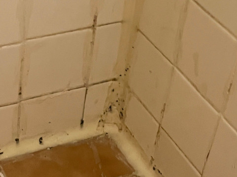 Super 8 by Wyndham Melrose主图