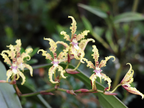 Paramo Trek Salento-萨伦托必去景点