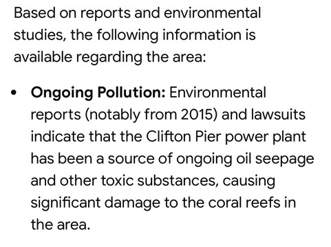 Stuart Cove's-拿骚必去景点