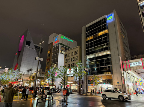 大阪皇家古典酒店主图