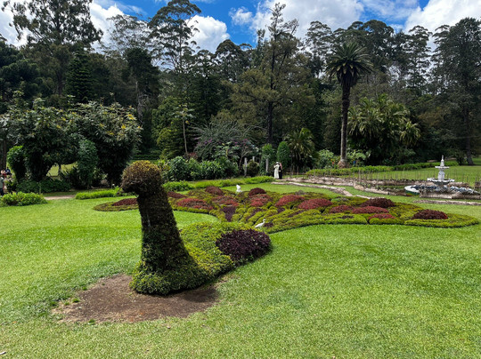 维多利亚公园-奴娃拉伊利雅必去景点