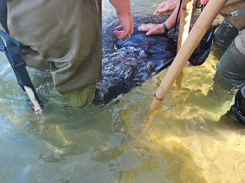 Dive Tatapouri-Gisborne Region必去景点