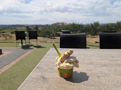 亚拉河谷葡萄酒乡-墨尔本必去景点