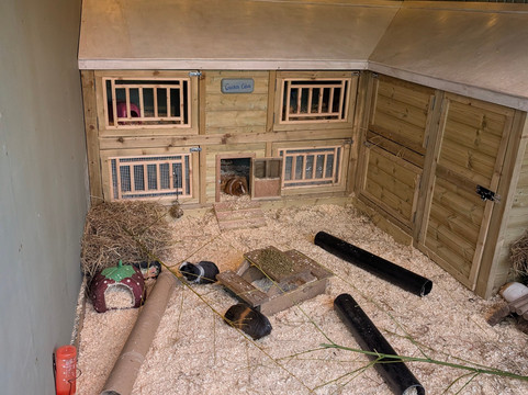 Williamson Park-兰开斯特必去景点