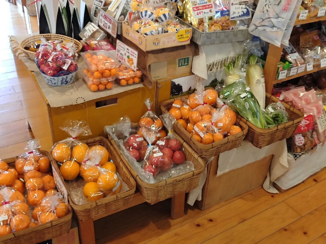 Hasamionsen Tojiro主图