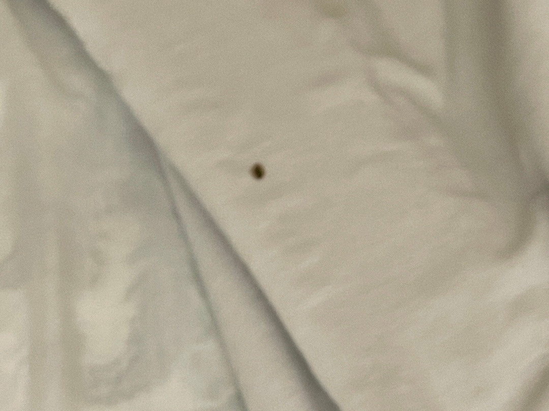 Boarders Inn & Suites In Fayette主图