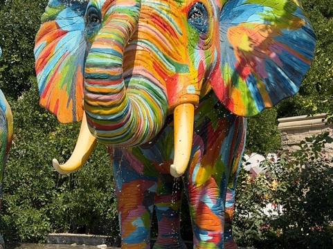 Nishat Tours And Travels-斯利那加必去景点