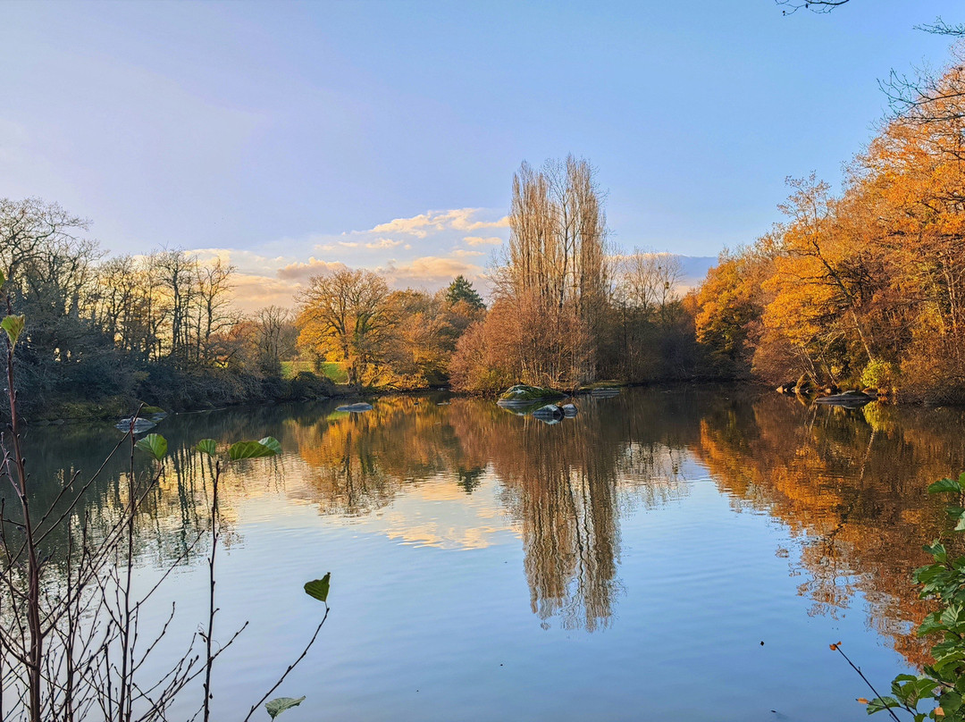 Etang de Bois Pouvreau et son chaos granitique-Menigoute必去景点
