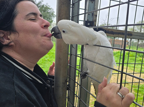 Quinta Fotoplanet Farm-阿尔布赞拉必去景点