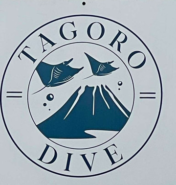 The Green Shark-La Restinga必去景点