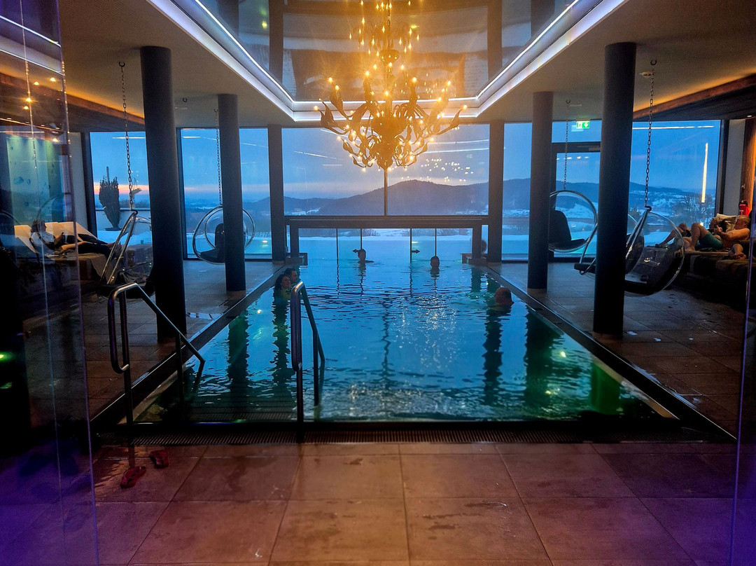 Hüttenhof - Wellnesshotel & Luxus-Bergchalets - Adults Only主图