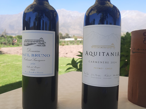 Vina Aquitania-圣地亚哥必去景点