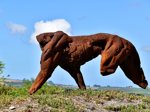 Dylan Lewis Sculpture  Garden-斯泰伦博斯必去景点