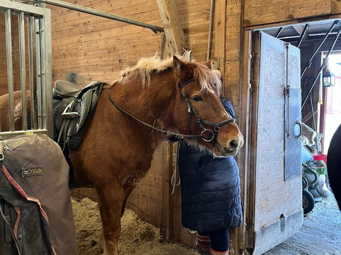 Off-Piste Adventures-Kemijarvi必去景点