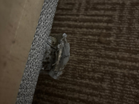 兰开斯特羚羊谷舒适套房酒店主图