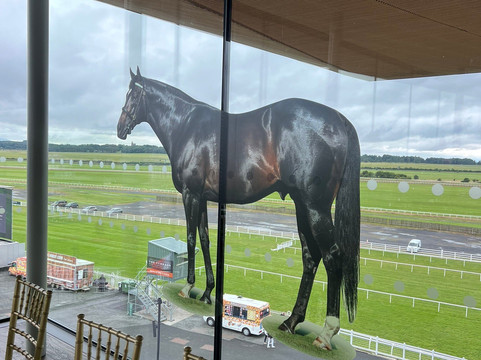 The Curragh Racecourse-基尔代尔郡必去景点