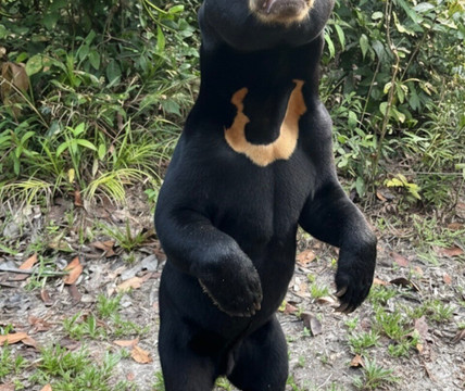 Cardamom Mountains-戈公必去景点