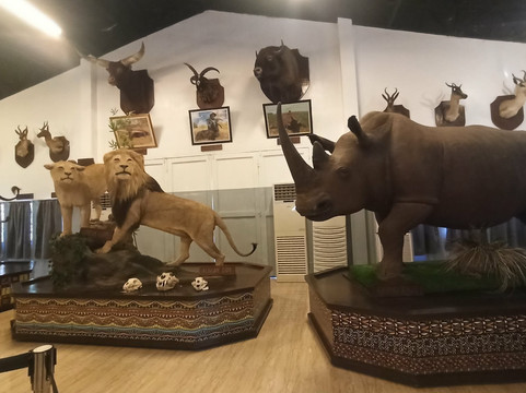 Baluarte Zoo-维甘必去景点