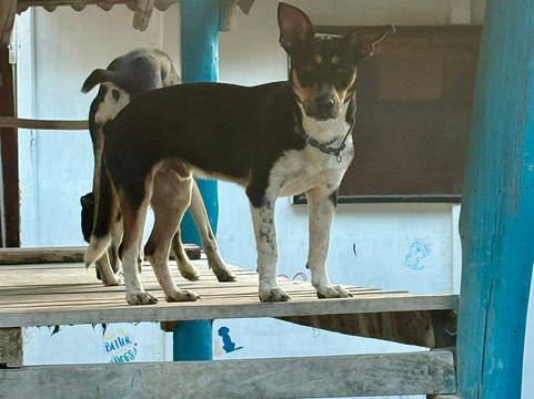Refugio Holbox-Holbox Island必去景点