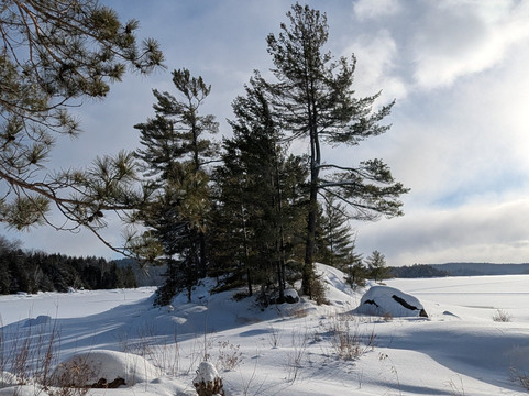 Parc régional du Poisson Blanc-Notre-Dame-du-Laus必去景点