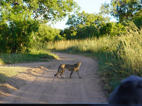 Bridge and Beyond-布莱恩斯顿必去景点