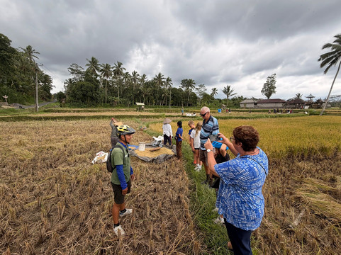 Dewa Bike Tour | Private Tours-乌布必去景点