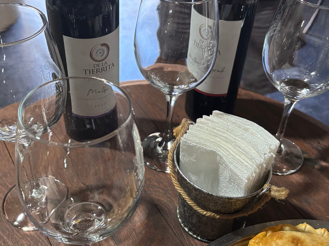 Bodega Familiar Agroecológica De La Tierrita-Eugenio Bustos必去景点