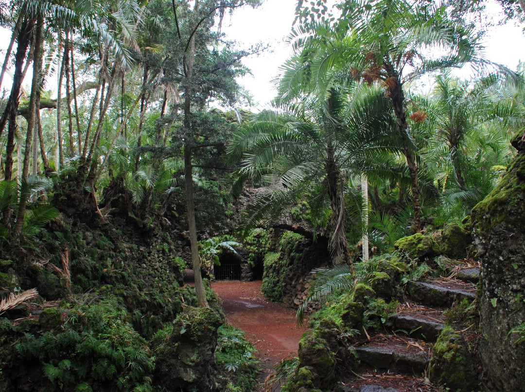 Jardim Botânico António Borges-蓬塔德尔加达必去景点