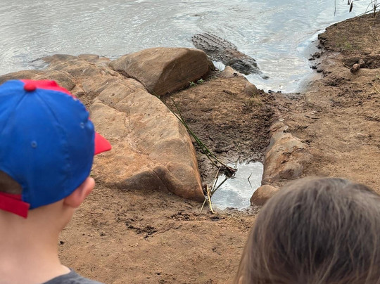 SAFARIZANDO-瓦塔木必去景点