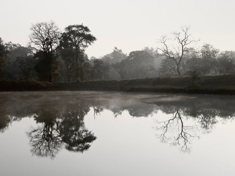 Tadoba Andhari National Park-Chandrapur District必去景点