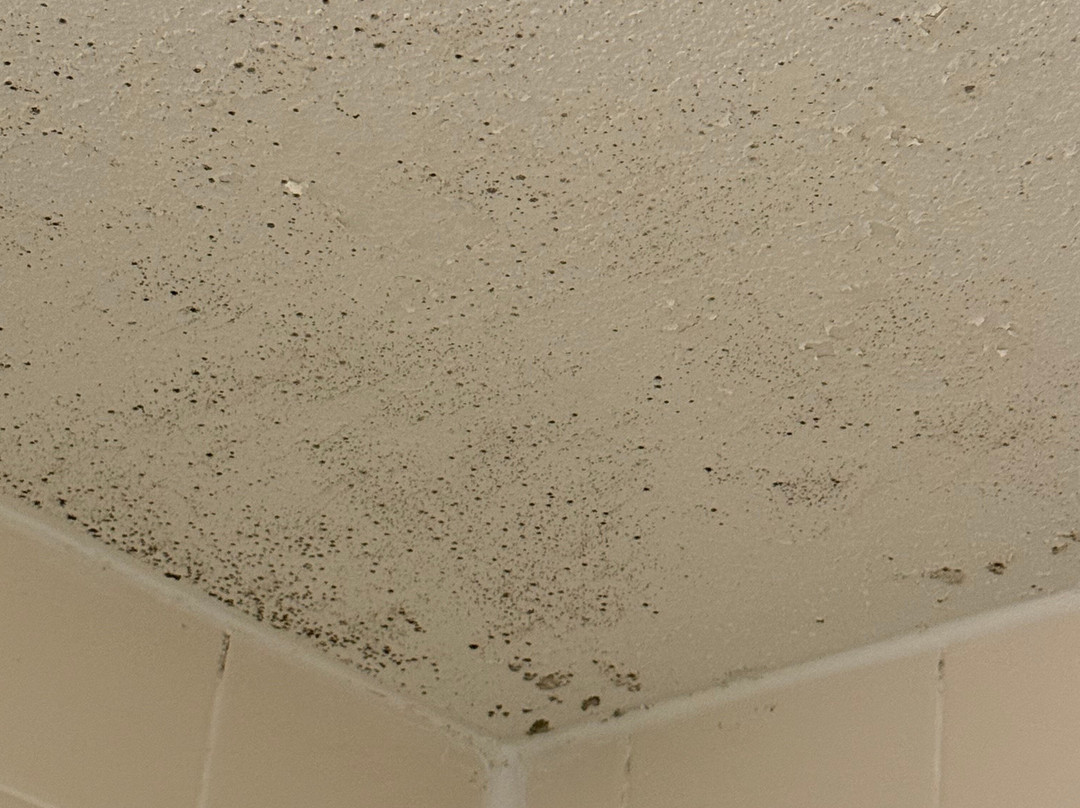 库克维尔温德姆呗盟酒店主图