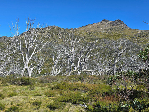 GirlsTrek-布里斯班必去景点