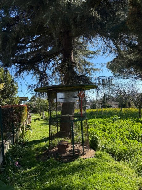 科尔特住宿加早餐旅馆-官方