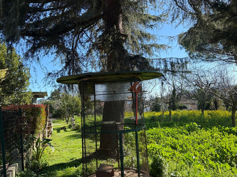 科尔特住宿加早餐旅馆主图