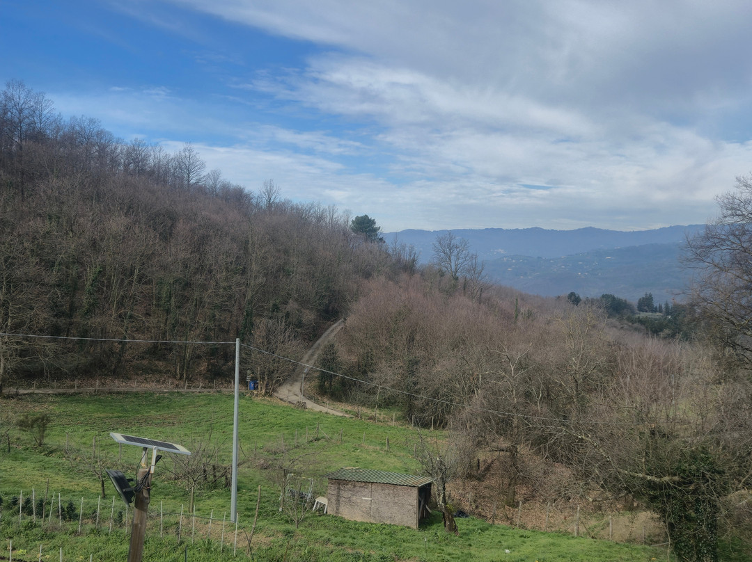 Podere Il Sorriso Degli Angeli主图